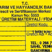 tuplu-bilecik